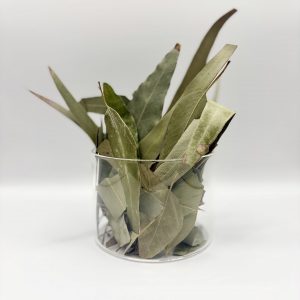 EUCALYPTUS 50G